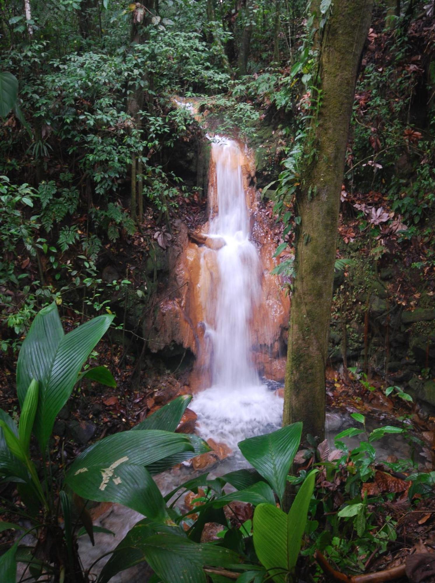 Blue River Resort&Hot Springs Liberia Eksteriør bilde