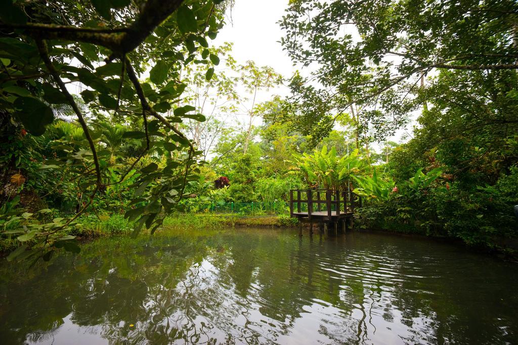Blue River Resort&Hot Springs Liberia Eksteriør bilde
