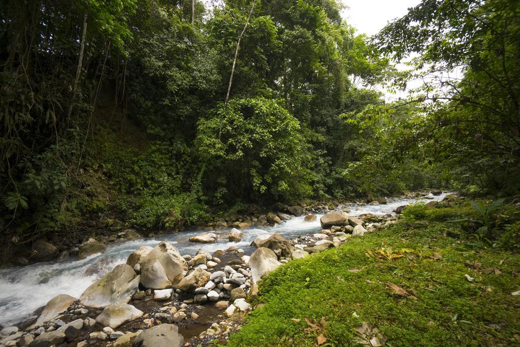 Blue River Resort&Hot Springs Liberia Eksteriør bilde