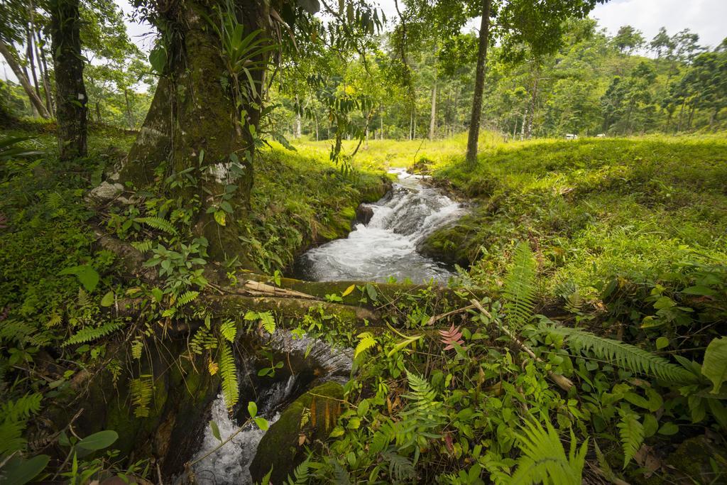Blue River Resort&Hot Springs Liberia Eksteriør bilde